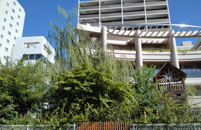 認定こども園聖愛幼稚園外観